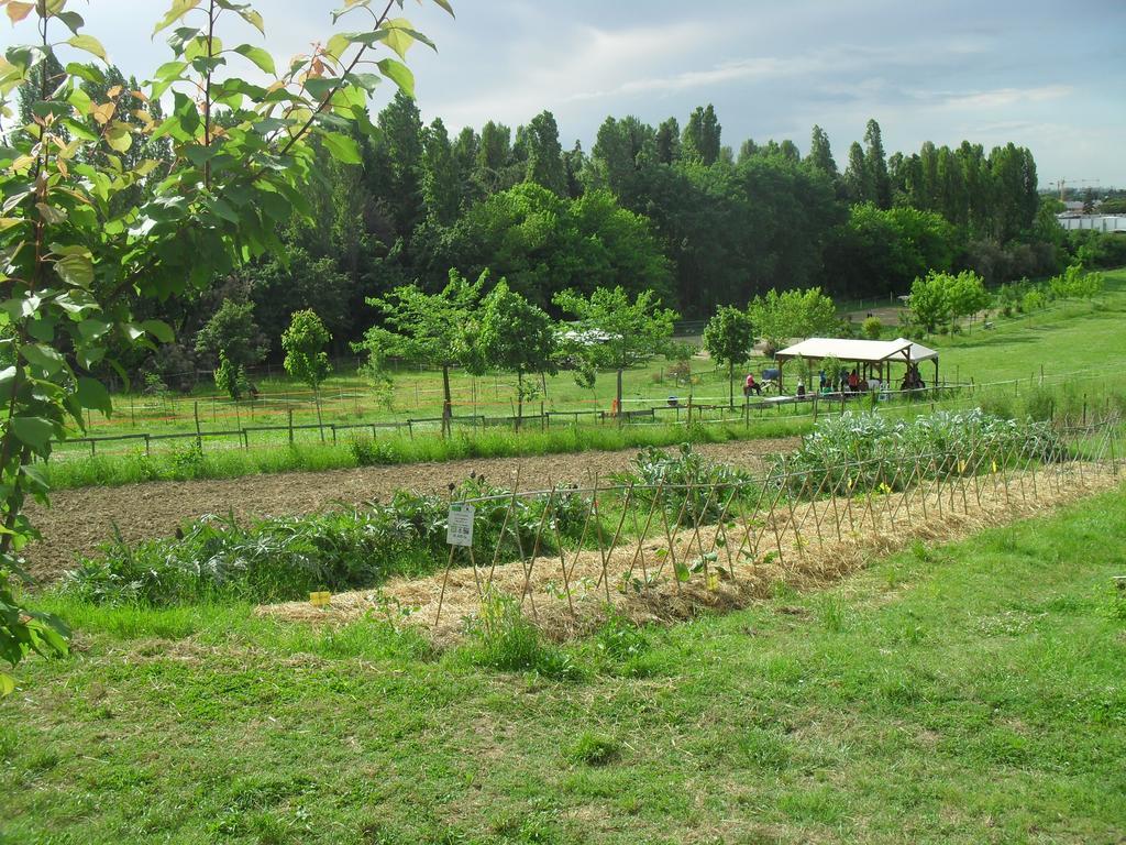 Agriturismo Case Mori Rimini Dış mekan fotoğraf